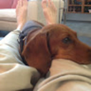 Meet your Posher, Eugene